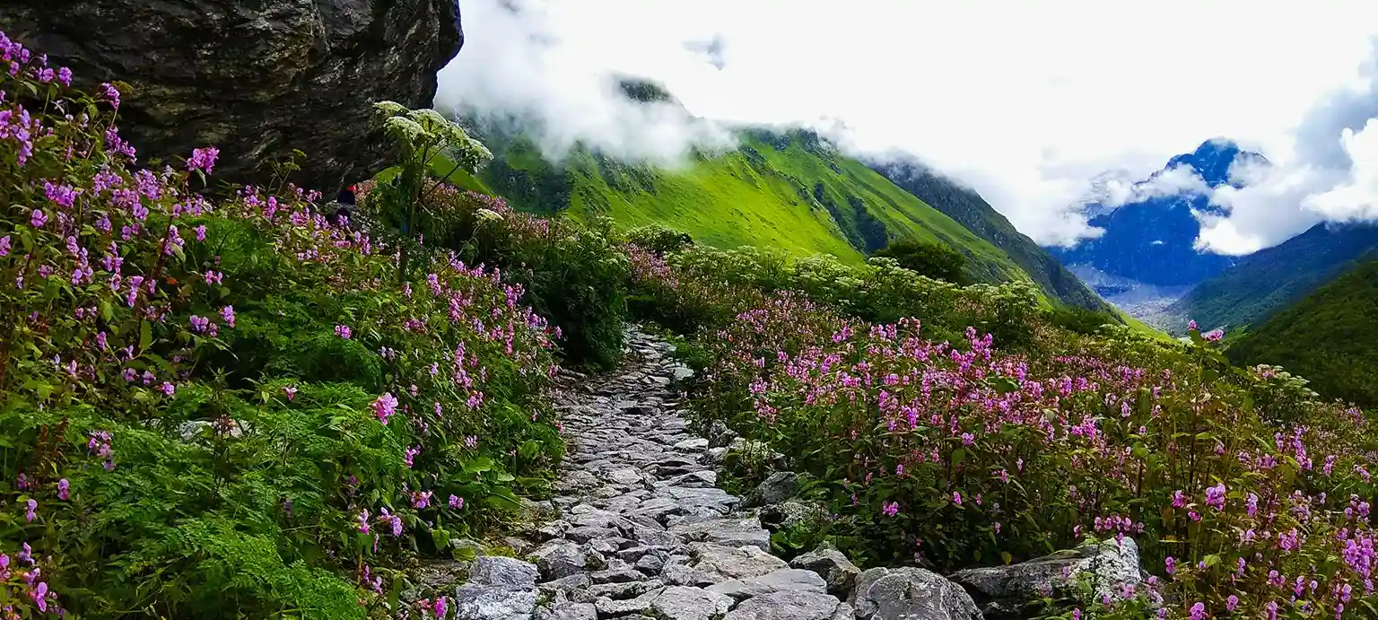 Valley of Flowers Trek   